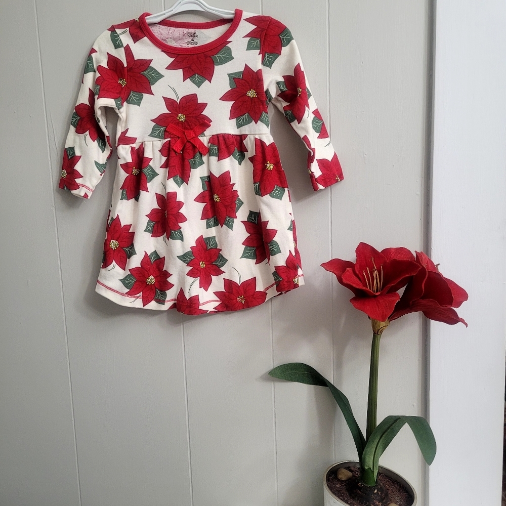 Girl's Poinsettia Dress, 100% Organic Cotton, Size 24M
